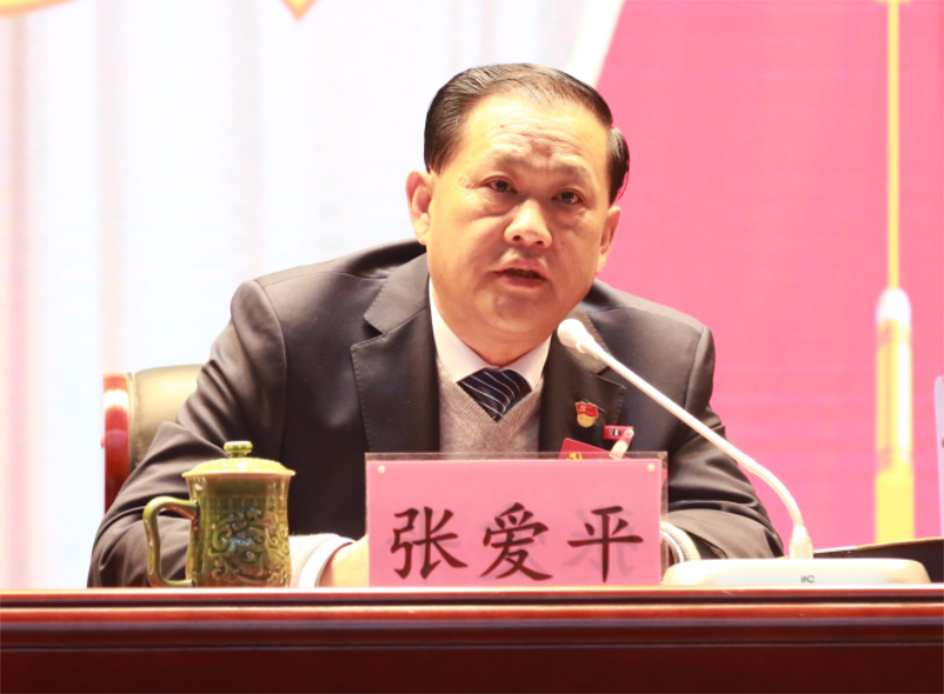 张爱平同志宣读中共星空在线注册第一届党委成员分工及纪委成员分工